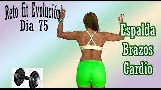 Reto Fit evolución Dia 75 Rutina 1552 - Trabaja espalda brazos y cardio en casa