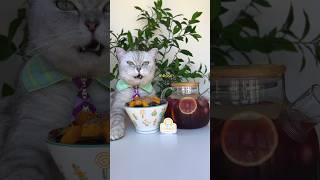 Wow You Must Try The Refreshing Sour Plum Soup️ #catsofyoutube #foodlover #tiktok