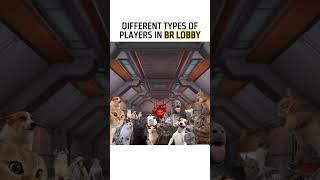 Types of players in BR Lobby 