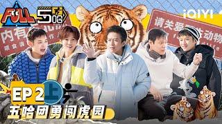 EP2上：鹿晗邓超探望陈赫被轰出房门 鹿晗王勉组成“怨种”猜歌组合 范志毅哼唱惹全员爆笑  五哈3 FULL HAHAHAHAHA S3  iQIYI精选