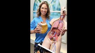 Gut Health SIBO Red Light  Dr. Janine