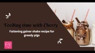 Feeding time with Cherry - fattening gainer shake recipe for greedy pigs