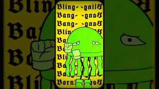 Kinito Bling-Bang-Borning #kinitopet #blingbangbangborn