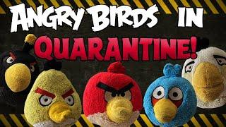 Angry Birds Plush - Quarantine