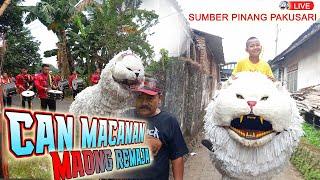 KIRAB CAN MACANAN MAONG REMAJA LIVE SUMBERPINANG PAKUSARI  LION DANCE