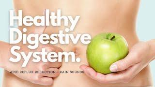  Healthy Digestive System  IBS + Acid Reflux Reduction + Balanced Microbiota  Gentle Rain Sounds