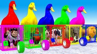 5 Giant Duck & Wild Animals Cage Game Cow Gorilla Chicken Elephant Buffalo Crossing Fountain