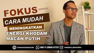 FOKUS Cara Mudah Meningkatkan Energi Khodam Macan Putih