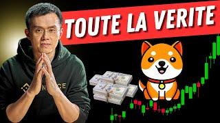 Baby doge coin voici toute la vérité  analyse complète 