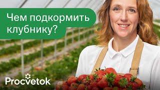 ЗАЦВЕТАЕТ КЛУБНИКА? УСПЕЙТЕ ПОДКОРМИТЬ ЕЕ ДЛЯ КРУПНЫХ И СЛАДКИХ ЯГОД Лучшее удобрение для клубники