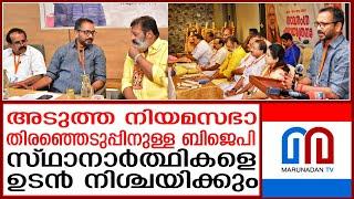 കേരള നിയമസഭയില്‍ കരുത്തു കാട്ടാന്‍ ബിജെപി  bjp action plan kerala-focus on 60 constituencies