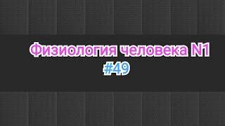 Физиология крови. Эритроциты эритропоэз эритроцитоз анемия. Общая характеристика и его функция