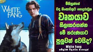 White Fang සම්පූර්ණ කතාව සිංහලෙන්  වයිට් ෆෑන්ග් Sinhala Film Review