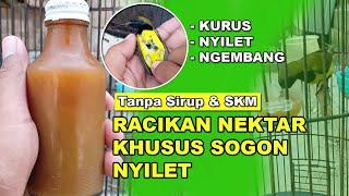 Sogon Nyilet Jadi Gemuk  Racikan Nektar Tanpa Sirup dan SKM Terbaru Atasi Sogon Nyilet dan Ngembang