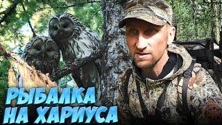 ПОХОД С НОЧЕВКОЙ В ПАЛАТКЕ НА ТАЁЖНУЮ РЕЧКУ ЗА ХАРИУСОМ.