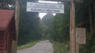 KUZU YAYLA TABİAT PARKI KOCAELİ YAYLALARI