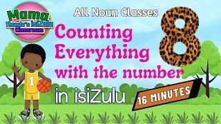 Zulu Numbers Counting Objects with 8  isishiyagalombili  Beginner Zulu Lessons