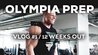 Damian SAIYAN Kuffel - przygotowania do zawodów OLYMPIA - 12 tygodni do startu na Mr. Olympia