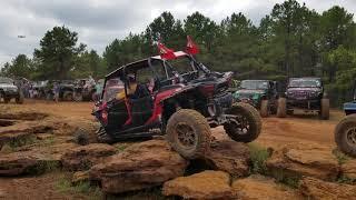 Big Paw Crawl for a Reason 2018 - Rock Garden Competition