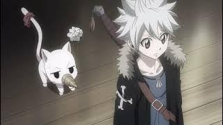 Fairy Tail Épisode 314 VF - Enchantement suprême