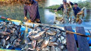 menjaring tehnik geser di spot yang tak masuk akal target ikan kakap dan beronang