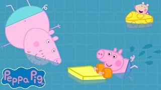 Daddy Pig Teaches George How To Swim  Peppa Pig Official Channel Family Kids Cartoons