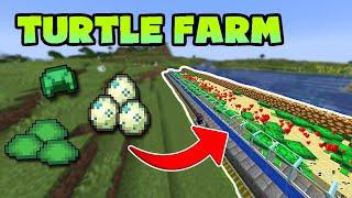 I Built A Turtle Farm in Minecraft 1.20 Turtle Scute  Turtle Eggs