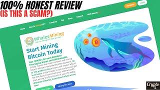 My 100% Honest Review On Whalesmining  Whalesmining Organized Scam  Scam Mining Websites
