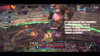 TERA HD Berserker Level 60 Gameplay & Tips