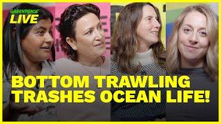 Destructive fishing and why Bottom Trawling has to go