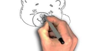 how to draw cute baby bear