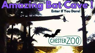 Incredible Bat Cave Exploration at Chester Zoo