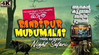 കാട്ടാനക്കൂട്ടം ബസിന് നേരെ പാഞ്ഞടുത്തപ്പോൾ  Bandipur - Mudumalai Forest Dangerous Night Bus Safari