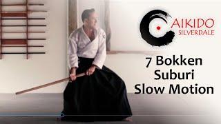 AIKIDO   7 BOKKEN SUBURI  SLOW MOTION AIKIDO SILVERDALE