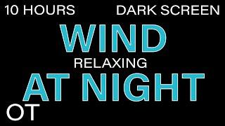 NIGHT WIND Sounds for Sleeping Relaxing Studying BLACK SCREEN Real Storm Sounds SLEEP SOUNDS