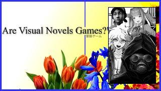 Are Visual Novels Video Games  Video essay