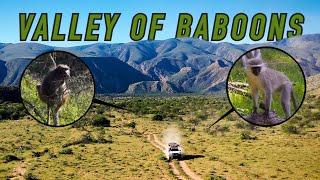 Heading Deep into the Ultimate Baboon Monkey and Dassie Hunting Paradise