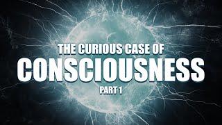 The Mystery of Consciousness Origin Nature & Theories of Subjective Experience & Self Awareness