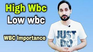 WBC count and its importance  High WBC and Low WBC Causes