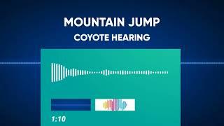 Coyote Hearing  Mountain Jump