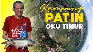 Melihat Geliat #Pembudidaya #Ikan di Kampung #Patin Oku Timur