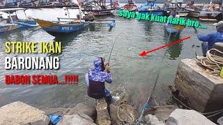 Full STRIKE Ikan Baronang BABON SEMUA