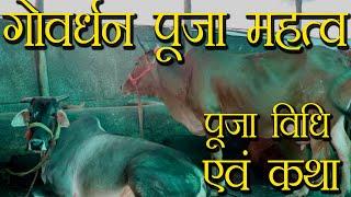 गोवर्धन पूजा विधि एवं गोवर्धन की कथा  Govardhan Pooja  Govardhan Katha