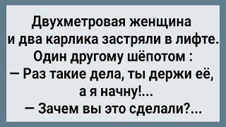 Двухметровая Женщина и Два Карлика Застряли в Лифте Сборник Свежих Анекдотов Юмор