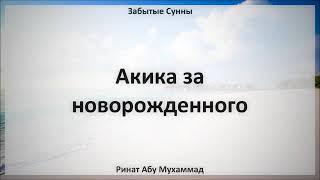 77. Акика за новорожденного  Ринат Абу Мухаммад