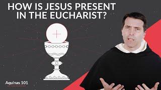 Is Jesus REALLY Present in the Eucharist? How? Aquinas 101