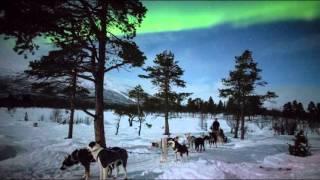 Aurora Borealis Kiruna in Swedish Lapland