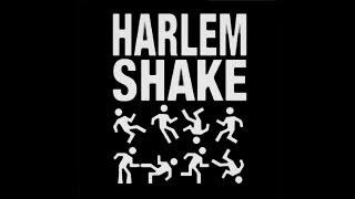 SHODAN.LT HARLEM SHAKE  Lithuania