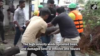 Biparjoy Cyclone News Uprooted Trees Power Lines Snapped As Cyclone Biparjoy Batters Gujarat