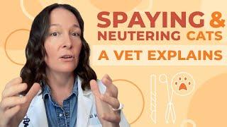 The Truth About Spaying and Neutering Cats A Complete Guide